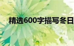 精选600字描写冬日美景的优秀散文范文