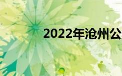 2022年沧州公立中学有哪些？