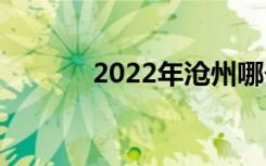 2022年沧州哪个技校比较好？