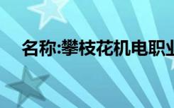 名称:攀枝花机电职业技术学院2022专业