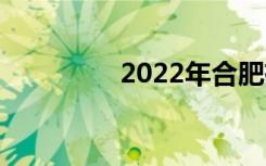 2022年合肥有哪些中学？