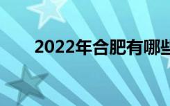 2022年合肥有哪些专门的空乘学校？