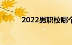 2022男职校哪个专业比较热门？