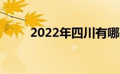 2022年四川有哪些正规职业学校？