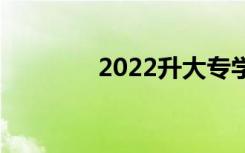 2022升大专学什么专业好？