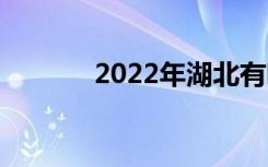 2022年湖北有哪些卫生学校？