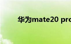 华为mate20 pro（华为Mate20）