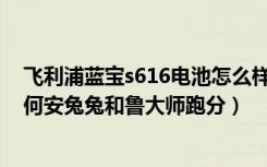 飞利浦蓝宝s616电池怎么样（飞利浦蓝宝S616硬件性能如何安兔兔和鲁大师跑分）