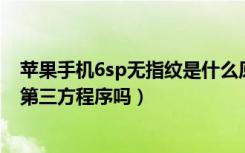 苹果手机6sp无指纹是什么原因（苹果5s的指纹识别能解锁第三方程序吗）