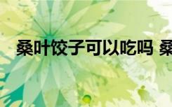 桑叶饺子可以吃吗 桑叶饺的烹饪技巧分享