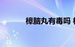 樟脑丸有毒吗 樟脑丸有没有毒