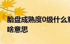 胎盘成熟度0级什么意思 胎盘成熟度0级到底啥意思