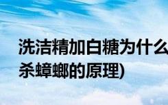 洗洁精加白糖为什么能杀蟑螂(洗洁精加白糖杀蟑螂的原理)