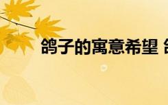 鸽子的寓意希望 鸽子的寓意是什么