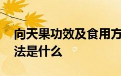 向天果功效及食用方法 向天果功效及食用方法是什么