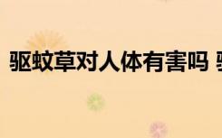 驱蚊草对人体有害吗 驱蚊草对人体有没有害