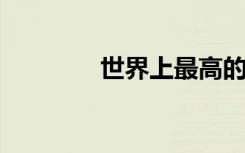 世界上最高的哺乳动物是谁
