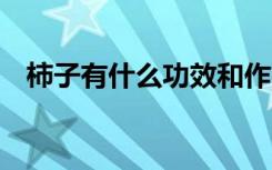 柿子有什么功效和作用 柿子的功效与作用