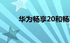 华为畅享20和畅享20 Plus的规格