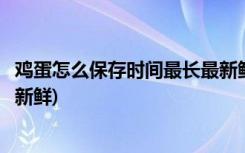 鸡蛋怎么保存时间最长最新鲜(鸡蛋怎么保存时间以及最长最新鲜)