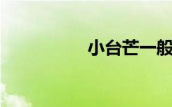 小台芒一般什么季节有