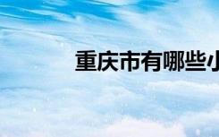 重庆市有哪些小学 哪些比较好