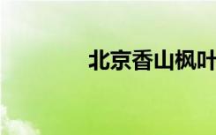 北京香山枫叶最佳观赏时间