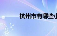 杭州市有哪些小学 哪些比较好