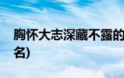 胸怀大志深藏不露的网名(励志有含义的微信名)