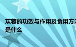 苁蓉的功效与作用及食用方法 苁蓉的功效与作用及食用方法是什么