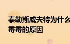 泰勒斯威夫特为什么叫霉霉 泰勒斯威夫特叫霉霉的原因