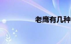 老鹰有几种 老鹰的介绍