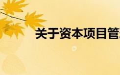 关于资本项目管理,正确的说法是