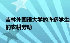 吉林外国语大学的许多学生分享了他们在居家防疫期间参与的农耕劳动