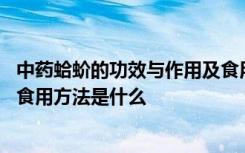 中药蛤蚧的功效与作用及食用方法 中药蛤蚧的功效与作用及食用方法是什么
