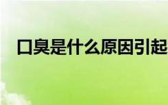 口臭是什么原因引起视频 口臭是什么原因