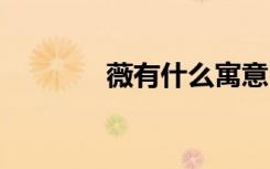 薇有什么寓意 薇寓意有什么