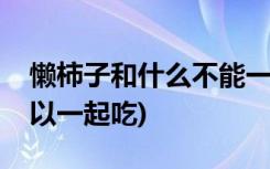 懒柿子和什么不能一起吃(懒柿子和什么不可以一起吃)