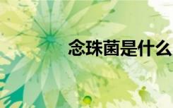 念珠菌是什么 什么是念珠菌