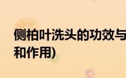 侧柏叶洗头的功效与作用(侧柏叶洗头的功效和作用)