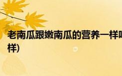 老南瓜跟嫩南瓜的营养一样吗(老南瓜跟嫩南瓜的营养是否一样)