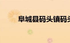 阜城县码头镇码头初级中学怎么样