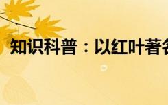 知识科普：以红叶著名的香山位于哪座城市