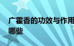 广霍香的功效与作用 广霍香的功效与作用有哪些