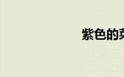 紫色的菜有哪些