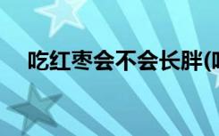 吃红枣会不会长胖(吃红枣是不是会长胖)