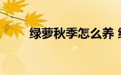 绿萝秋季怎么养 绿萝秋天如何养殖