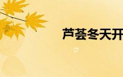 芦荟冬天开花寓意什么