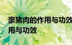 豪猪肉的作用与功效主要有哪些 豪猪肉的作用与功效