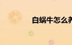 白蜗牛怎么养 白蜗牛养法